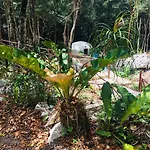 Cabanas Camping Yaxmuul